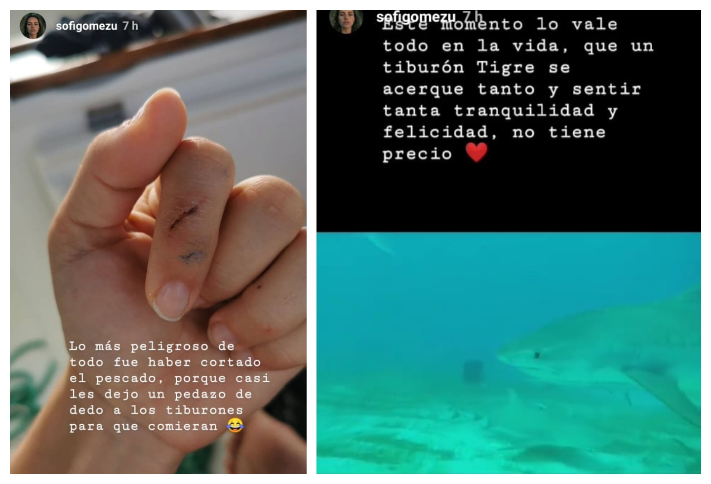 Sofía Gómez nadó con tiburones Tigre