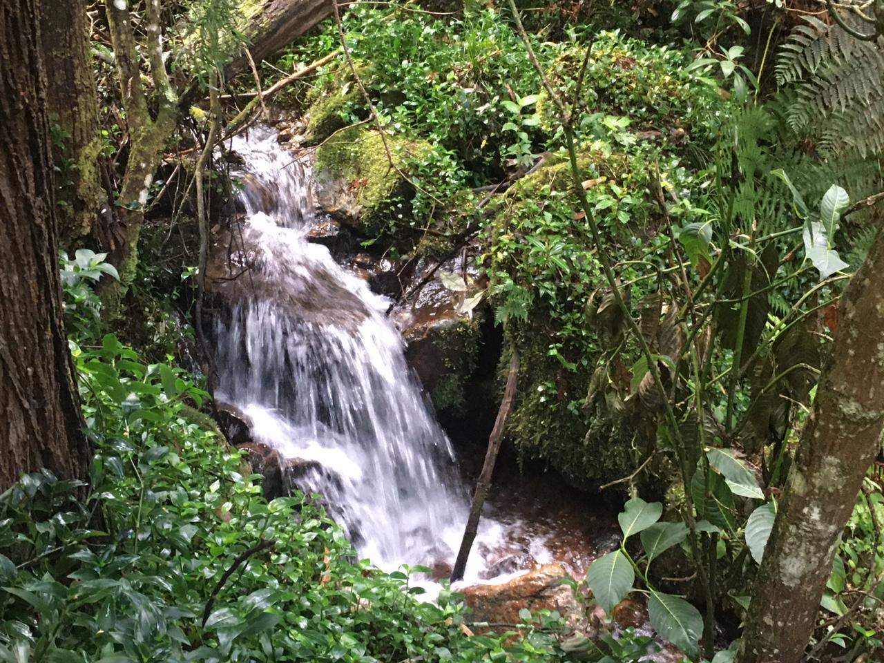 Quebrada La Vieja, Bogotá.