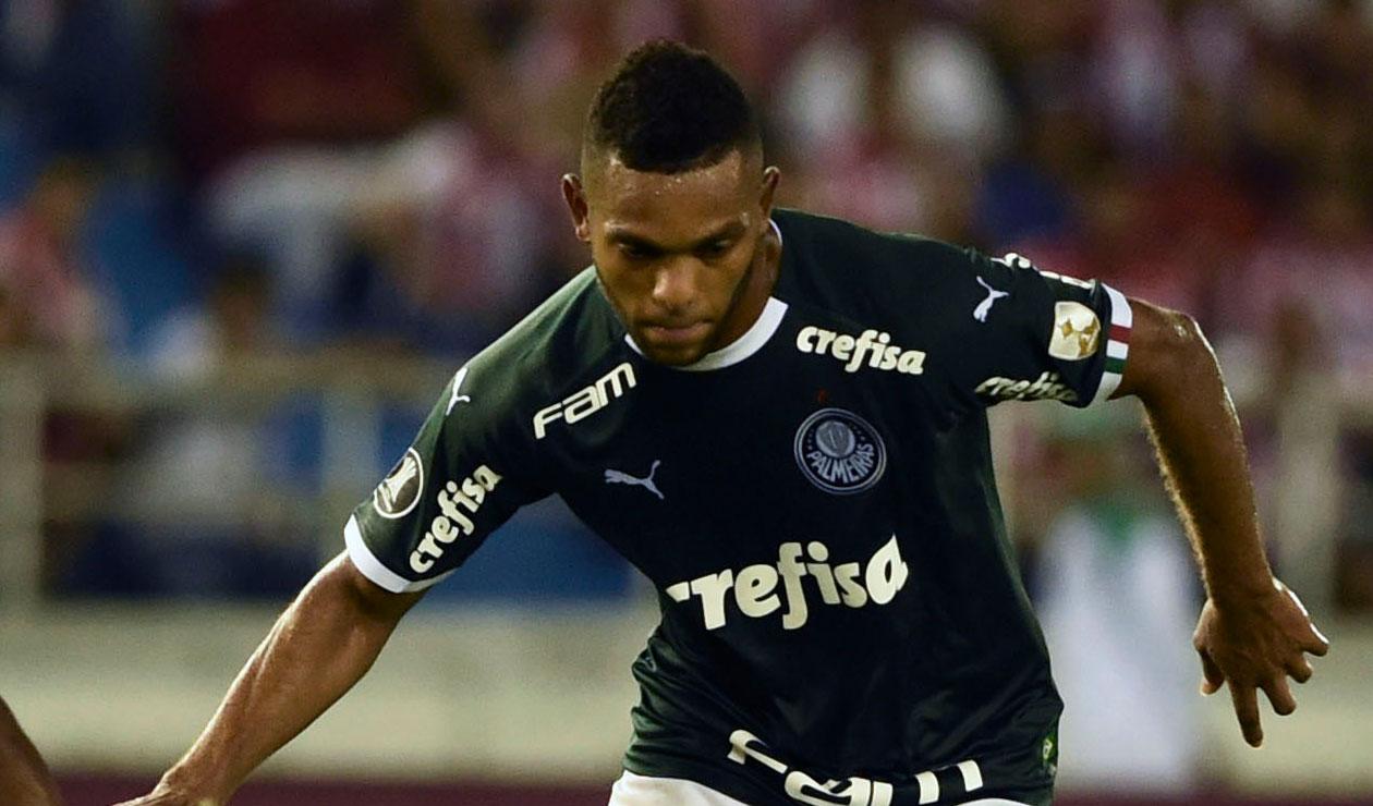 Miguel Ángel Borja, Palmeiras
