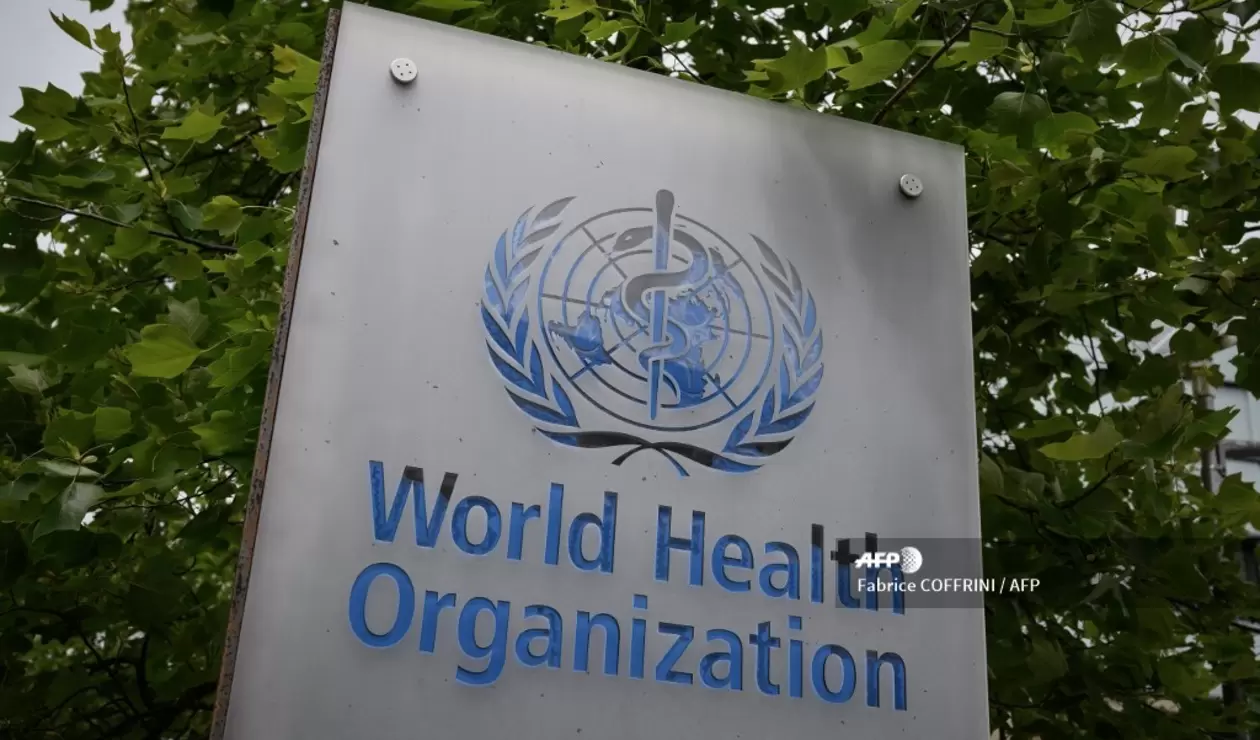Organización Mundial de la Salud, OMS