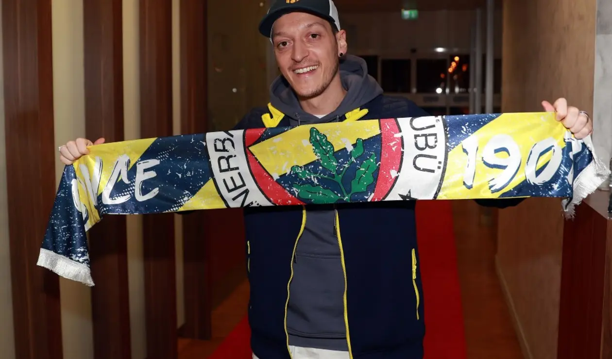 Zlatan Ibrahimovic, Fenerbahçe