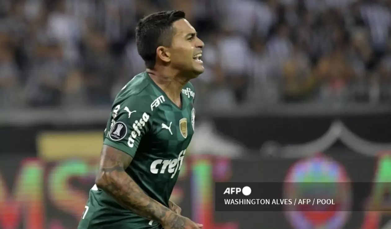Palmeiras finalista Libertadores
