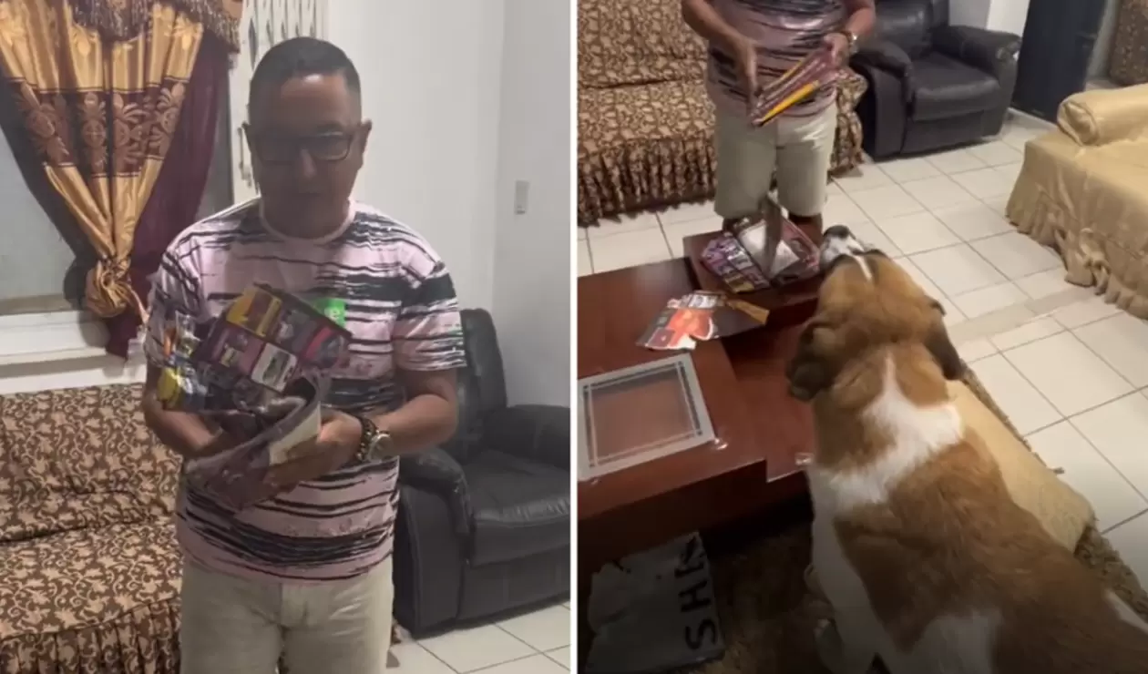 Hombre furioso y triste luego de ver que su perro se comiera el álbum Panini de Qatar 2022; la mascota se encuentra feliz