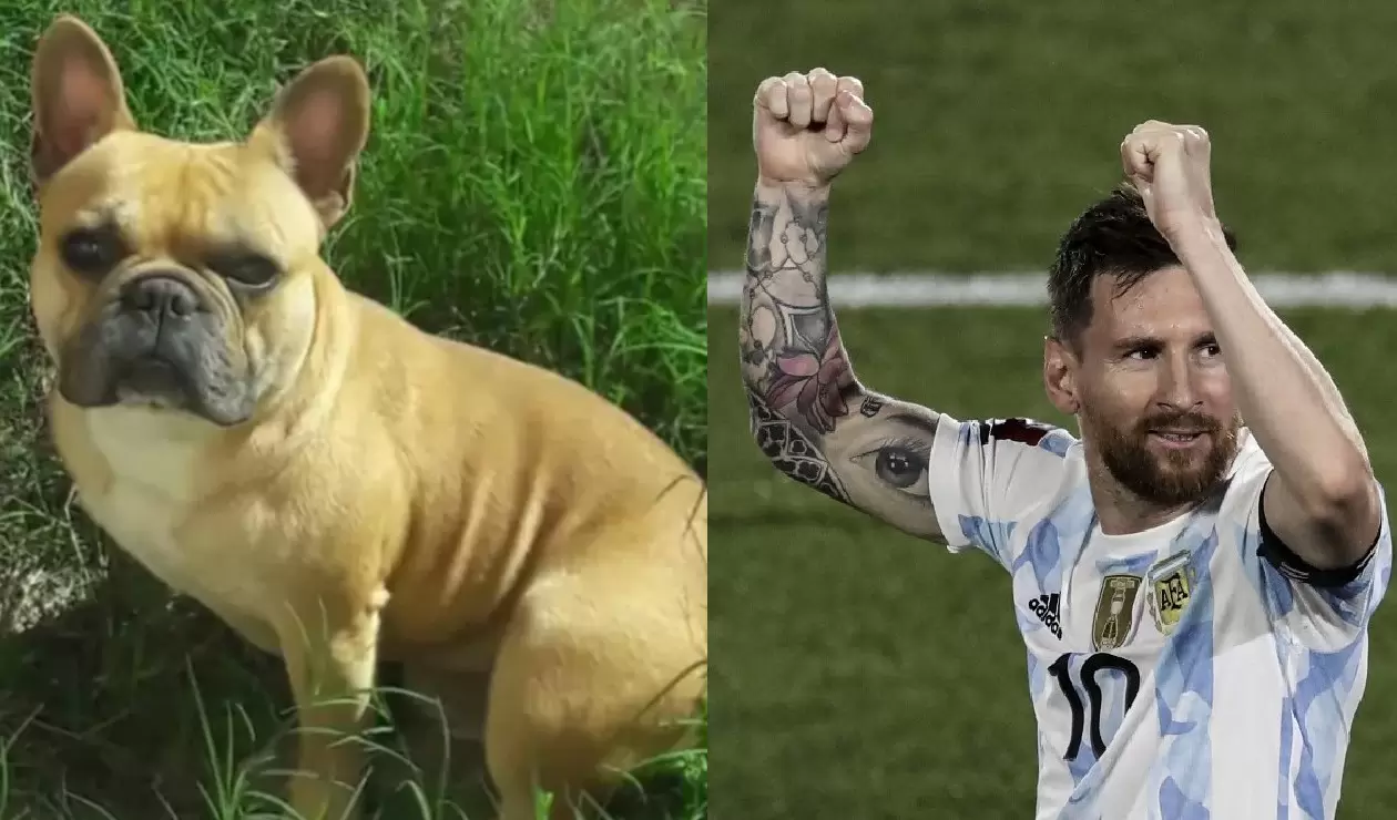 Niño ofrece lámina de Messi para recuperar un perro