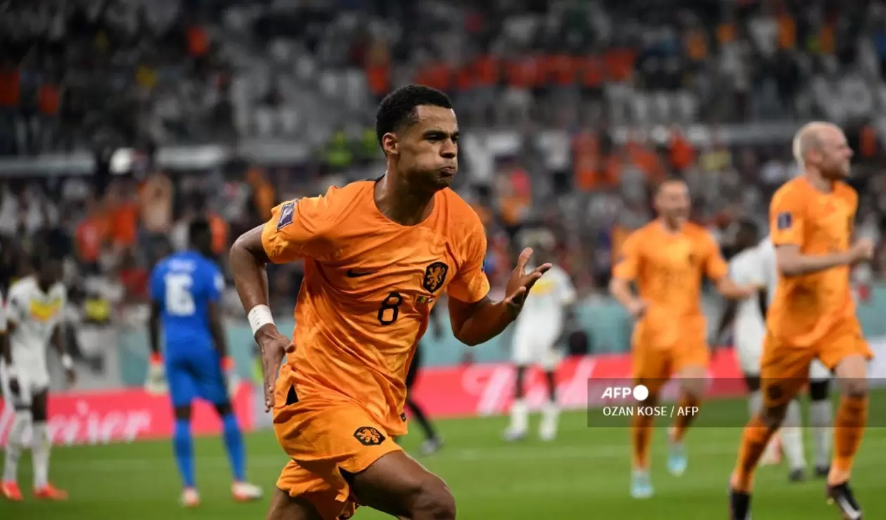 Países Bajos vs Senegal, Mundial Qatar 2022
