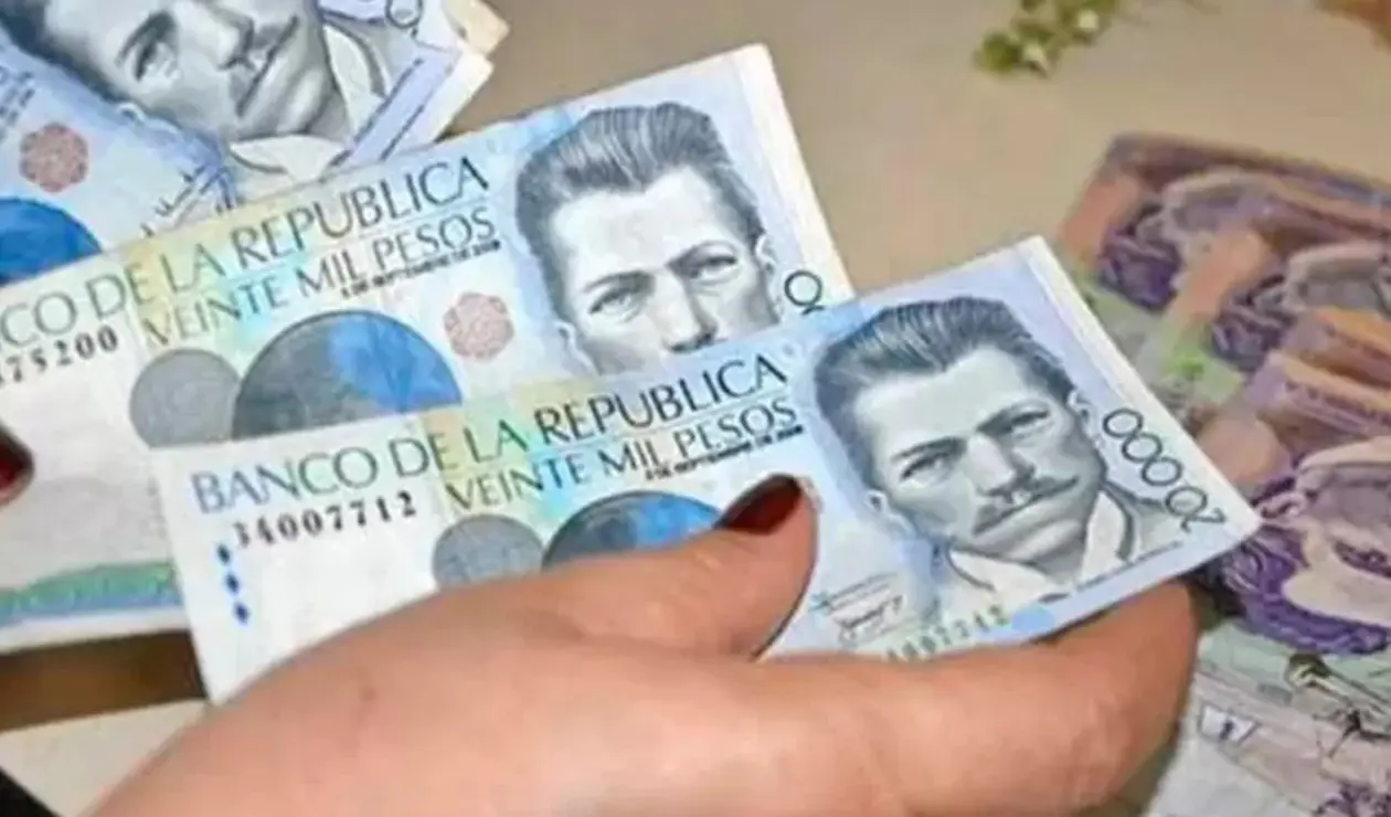 Renta Ciudadana, subsidio del Gobierno
