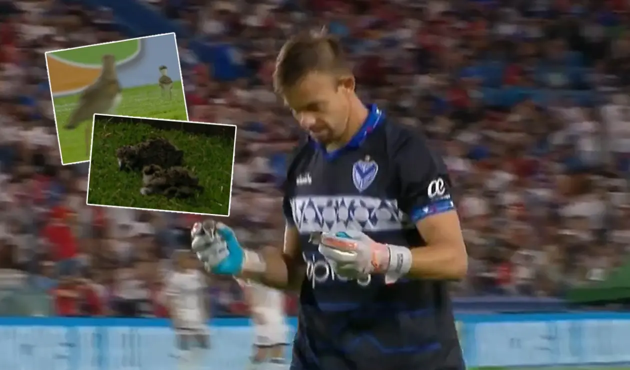 Leonardo Burián salvó a dos pájaros bebés