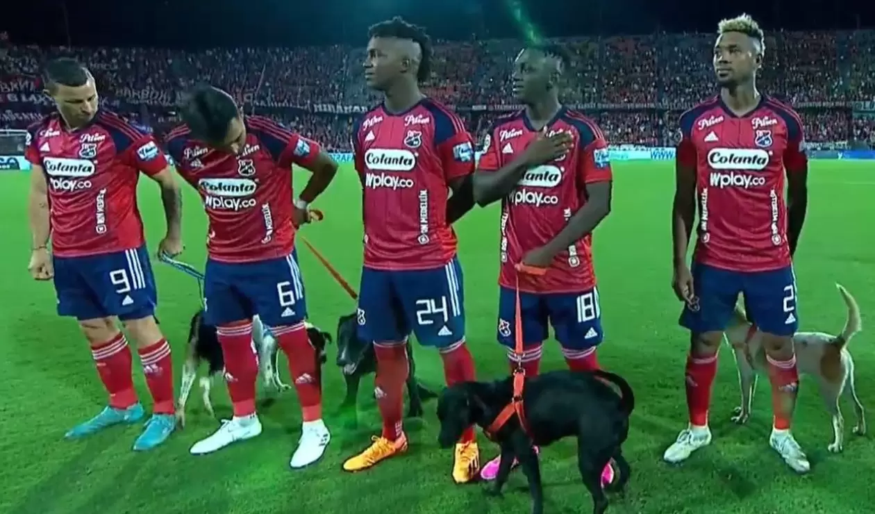 Video del perro que orinó a jugador de Medellín en partido vs Junior
