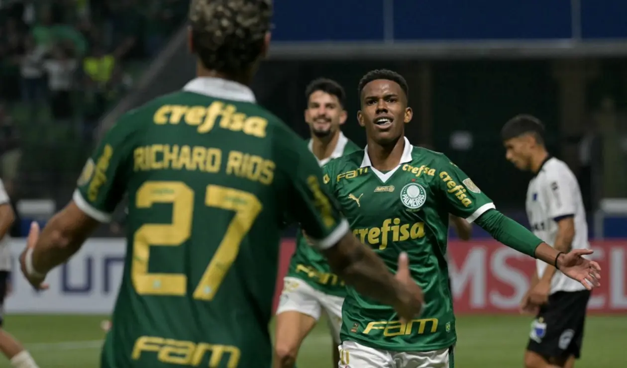 Palmeiras 2024