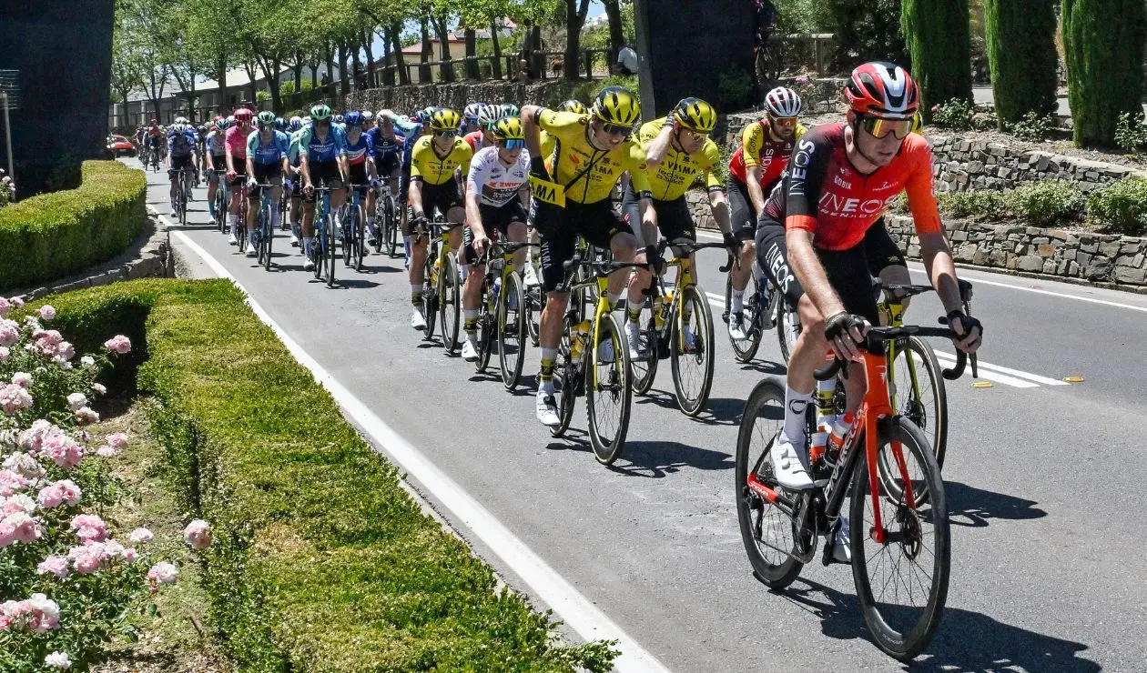 Tour Down Under EN VIVO