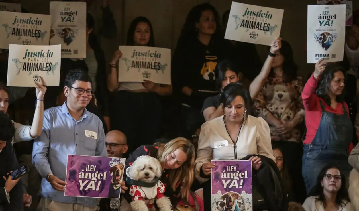 Congreso de la República - 2025