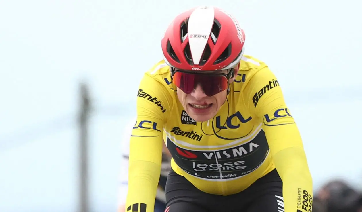 Jonas Vingegaard - Team Visma