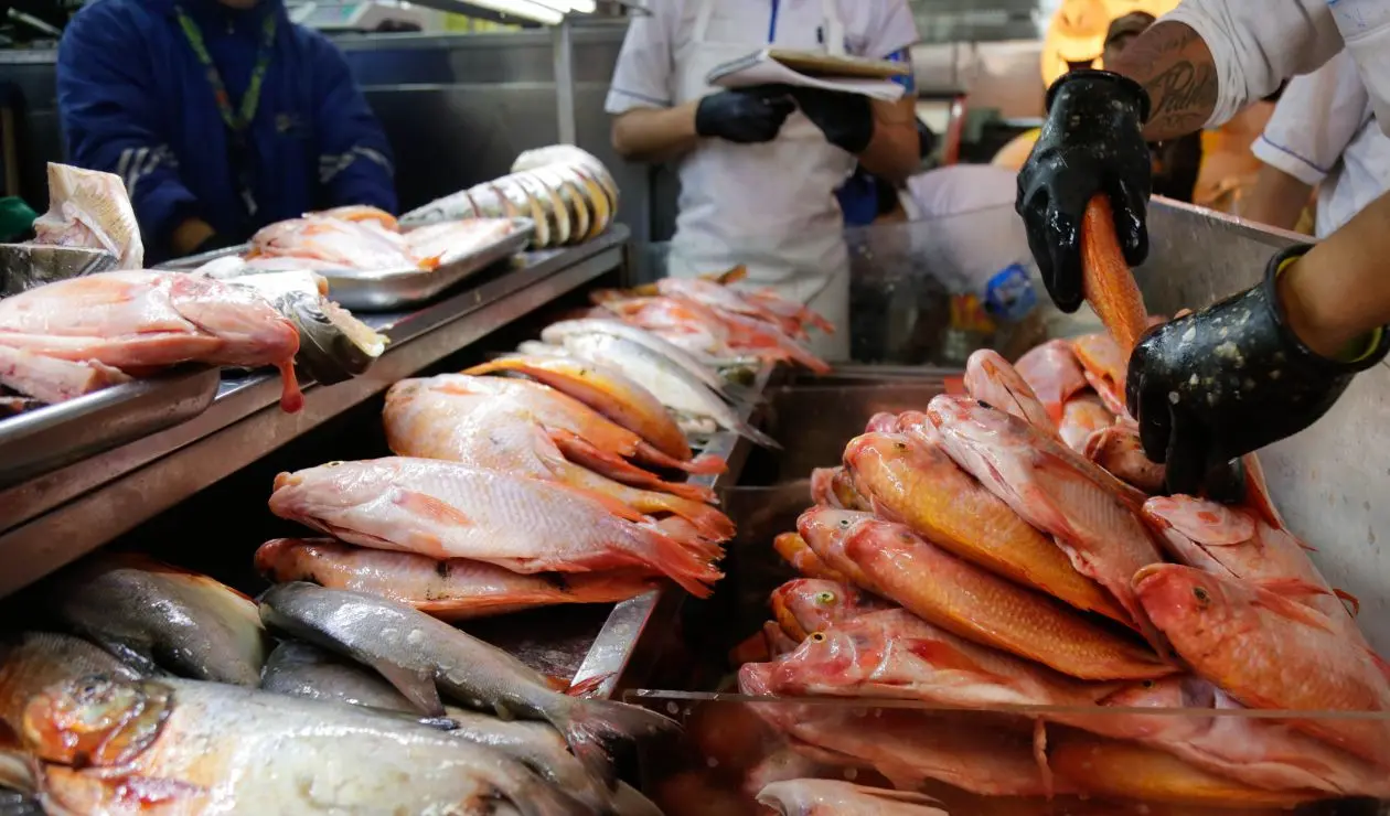 Pescado de jueves Santo