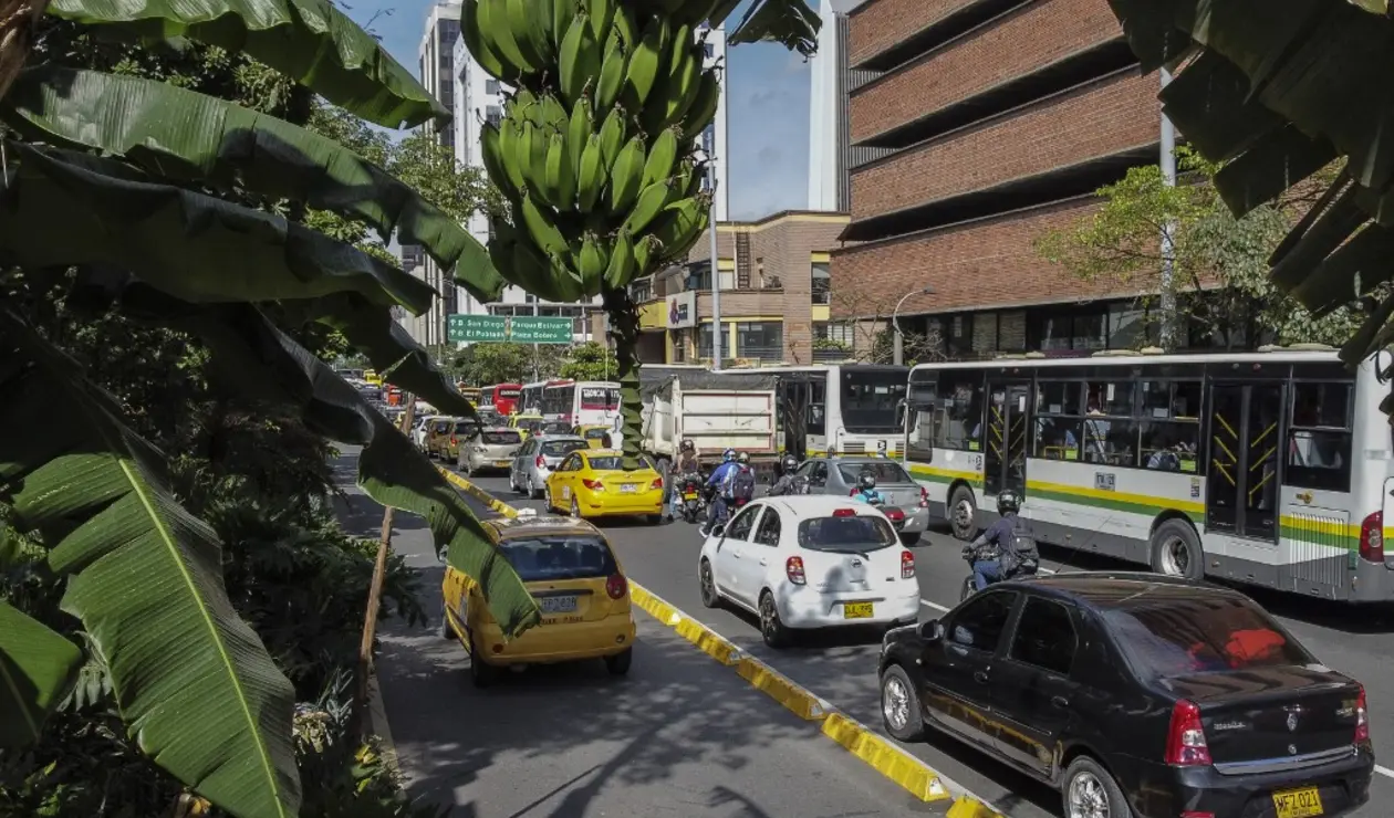Pico y placa en Medellín