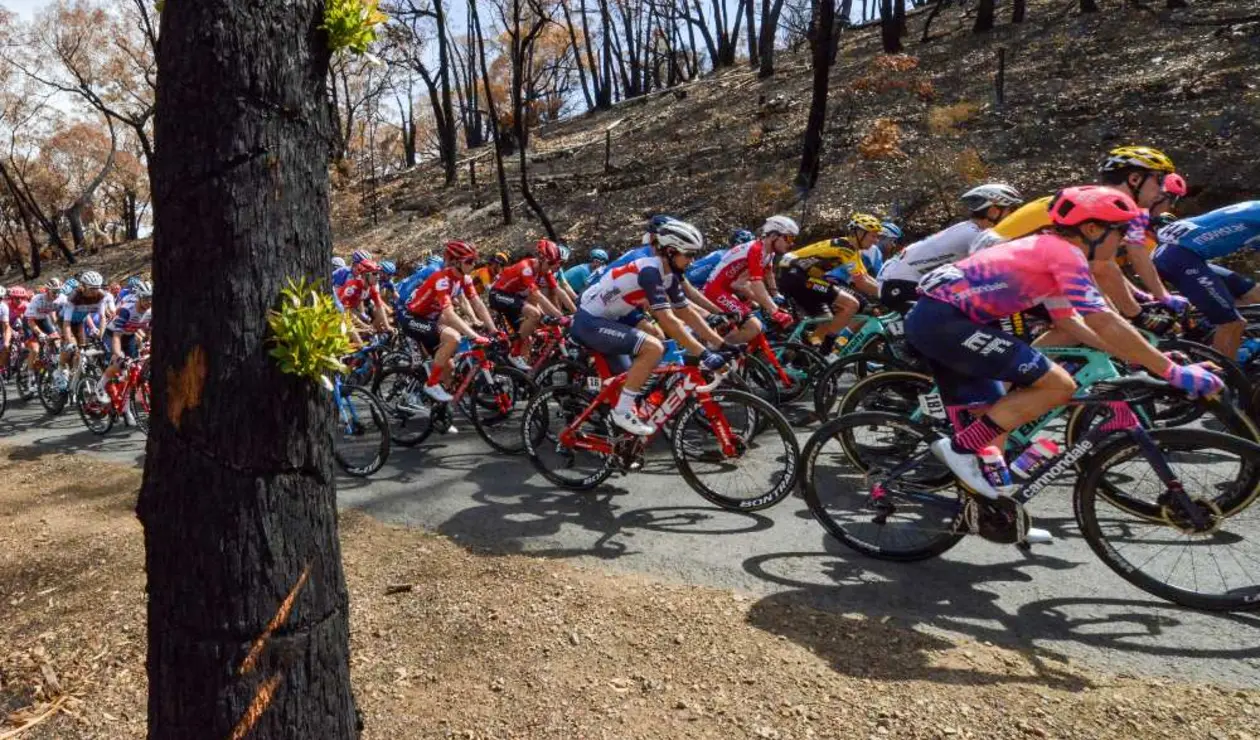 Tour Down Under, edición 2020