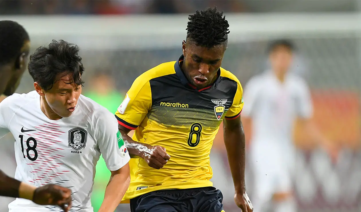 La Selección de Ecuador, semifinalista del Mundial sub 20.