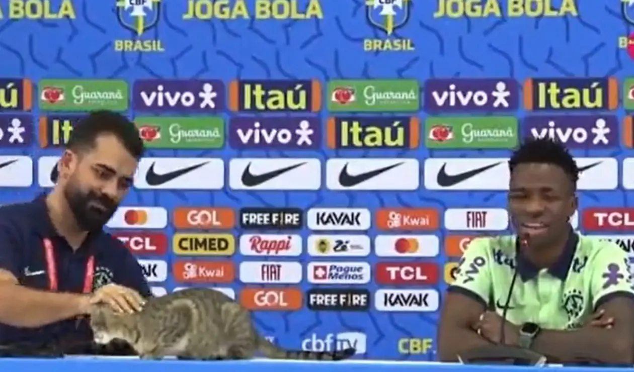 Gato en rueda de prensa de Brasil, Mundial de Qatar 2022
