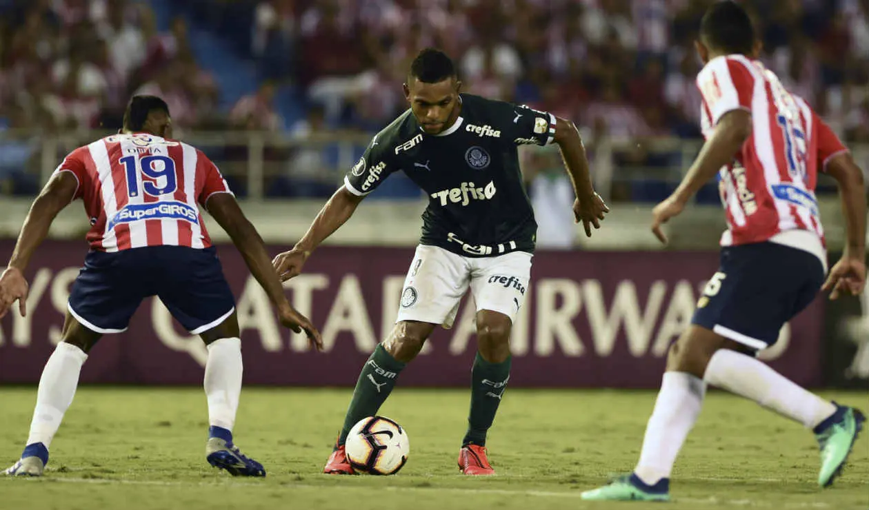 Miguel Ángel Borja, Palmeiras