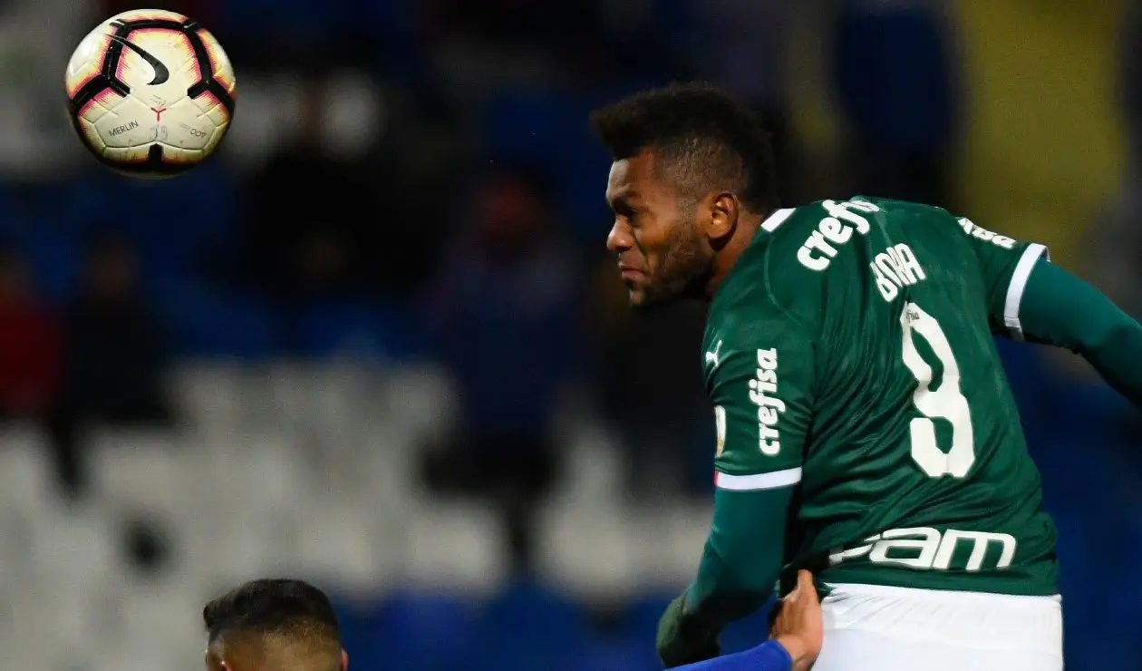 Miguel Ángel Borja, Palmeiras