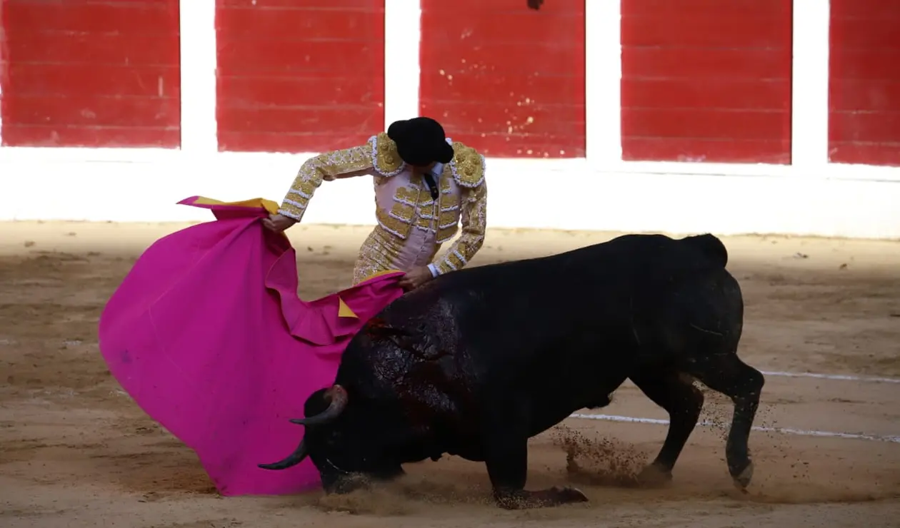 Enrique Ponce