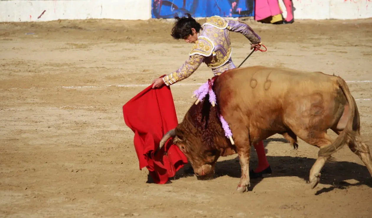 Sebastián Castella