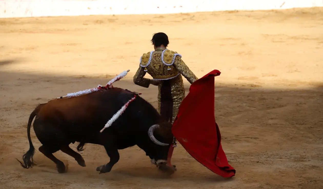 Cierre temporada taurina en Bogotá