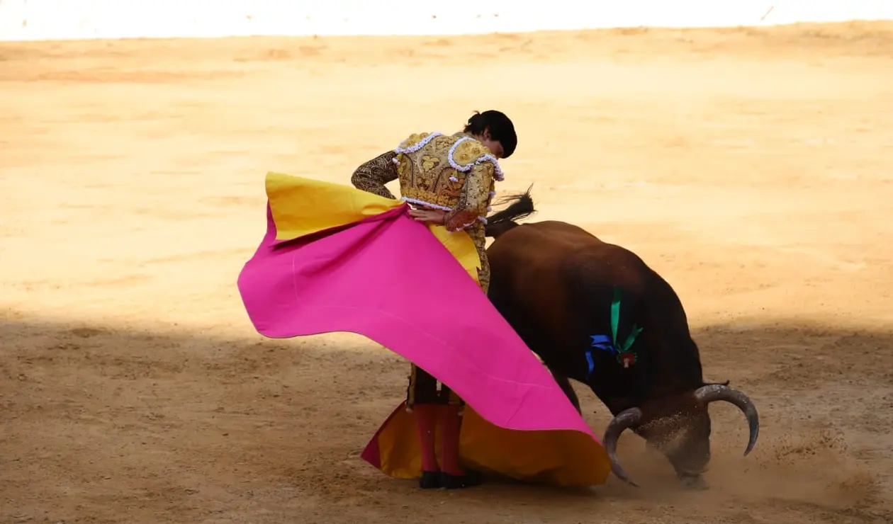 Cierre temporada taurina en Bogotá