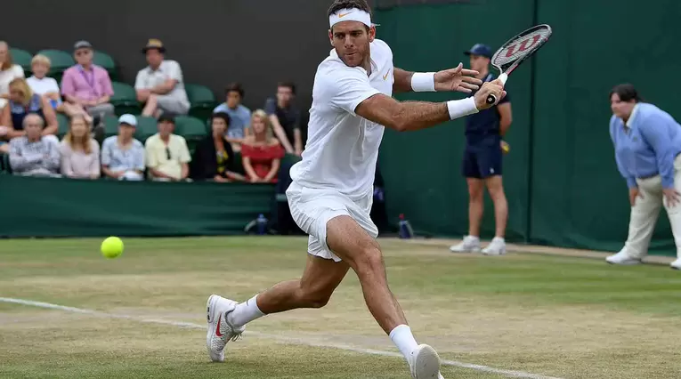 Juan Martín Del Potro Wimbledon 2018