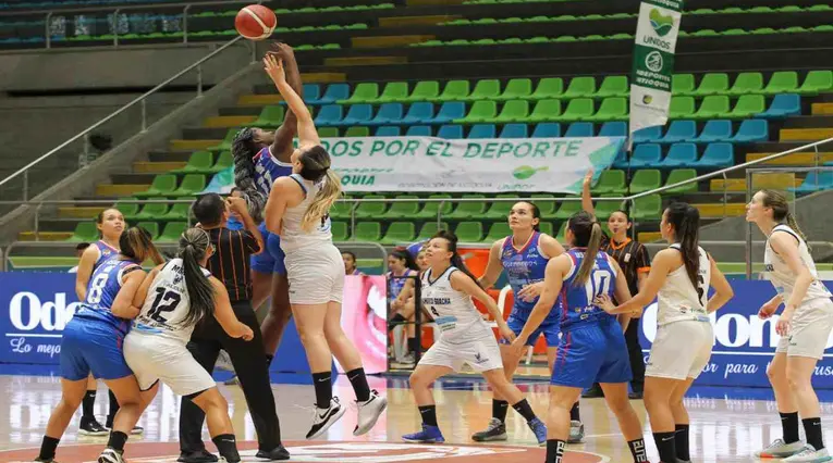 Liga Superior de Baloncesto