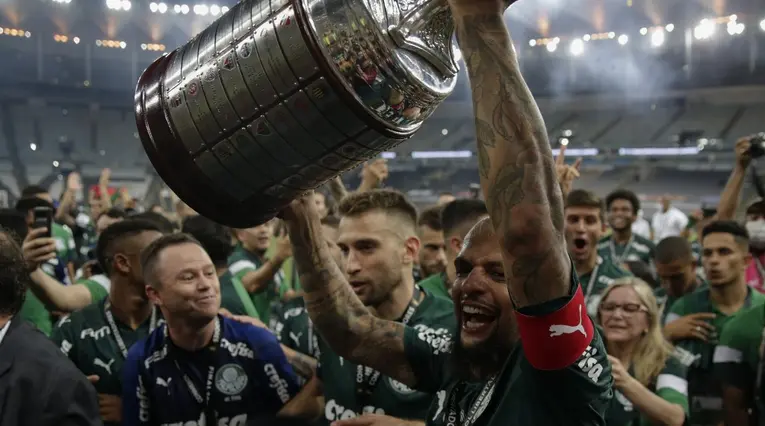Felipe Melo, Palmeiras