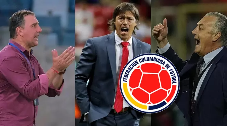 Matías Almeyda, Gustavo Alfaro, Néstor Lorenzo, Selección Colombia