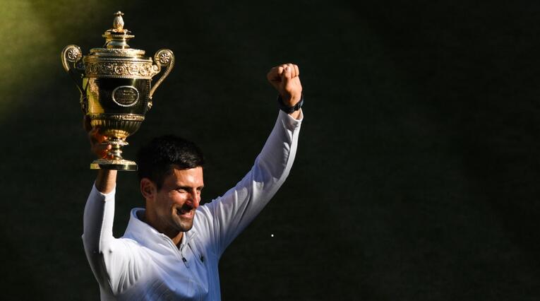 Djokovic - Wimbledon 2022.jpg