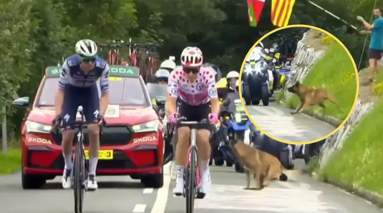 Perro se atravesó en la carretera en la etapa 2 del Tour de Francia