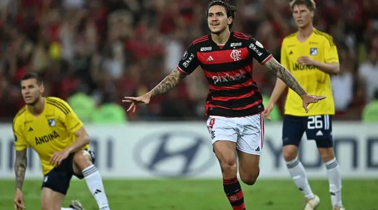 Flamengo vs Millonarios Copa Libertadores 2024