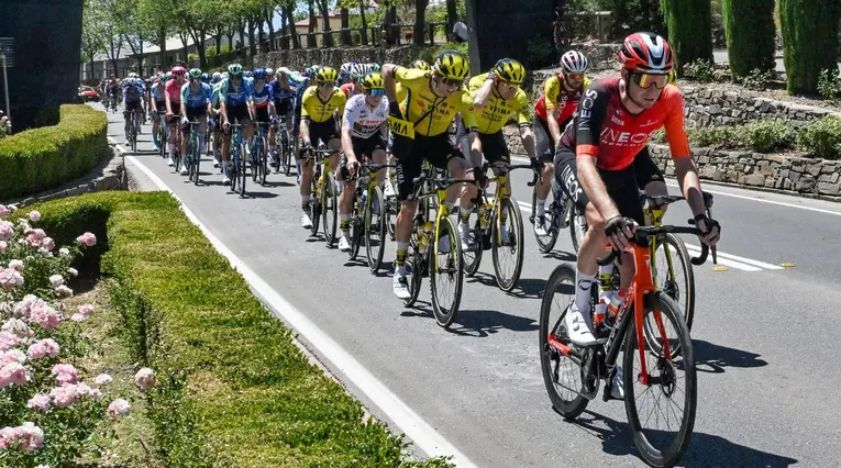 Tour Down Under EN VIVO