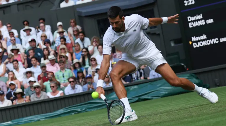 Novak Djokovic, tenista serbio