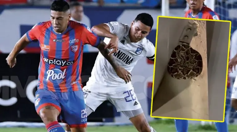 Serpiente apareció en el partido entre Unión y Millonarios