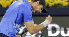 Andy Murray, tenista