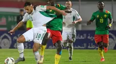 Selección de Argelia