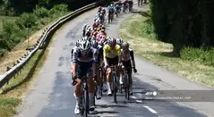 Pelotón del Critérium del Dauphiné