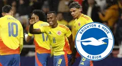 Brighton y la selección Colombia