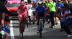 Pogacar bajará el ritmo en el Giro de Italia: Nairo puede aprovechar