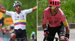 Jhonatan Narváez y Jefferson Cepeda Giro de Italia 2024