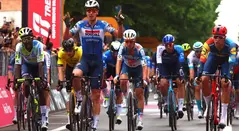Tim Merlier - Giro de Italia 2024