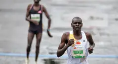 Media Maratón de Bogotá 2024