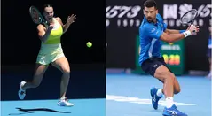 Sabalenka y Djokovic