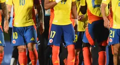 Selección Colombia referencial