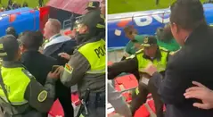 Presidente de la Federación de Bolivia peleando en Eliminatorias