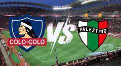 Escudos Colo Colo vs Palestino