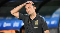 Lionel Scaloni, entrenador de Argentina en la Eliminatoria